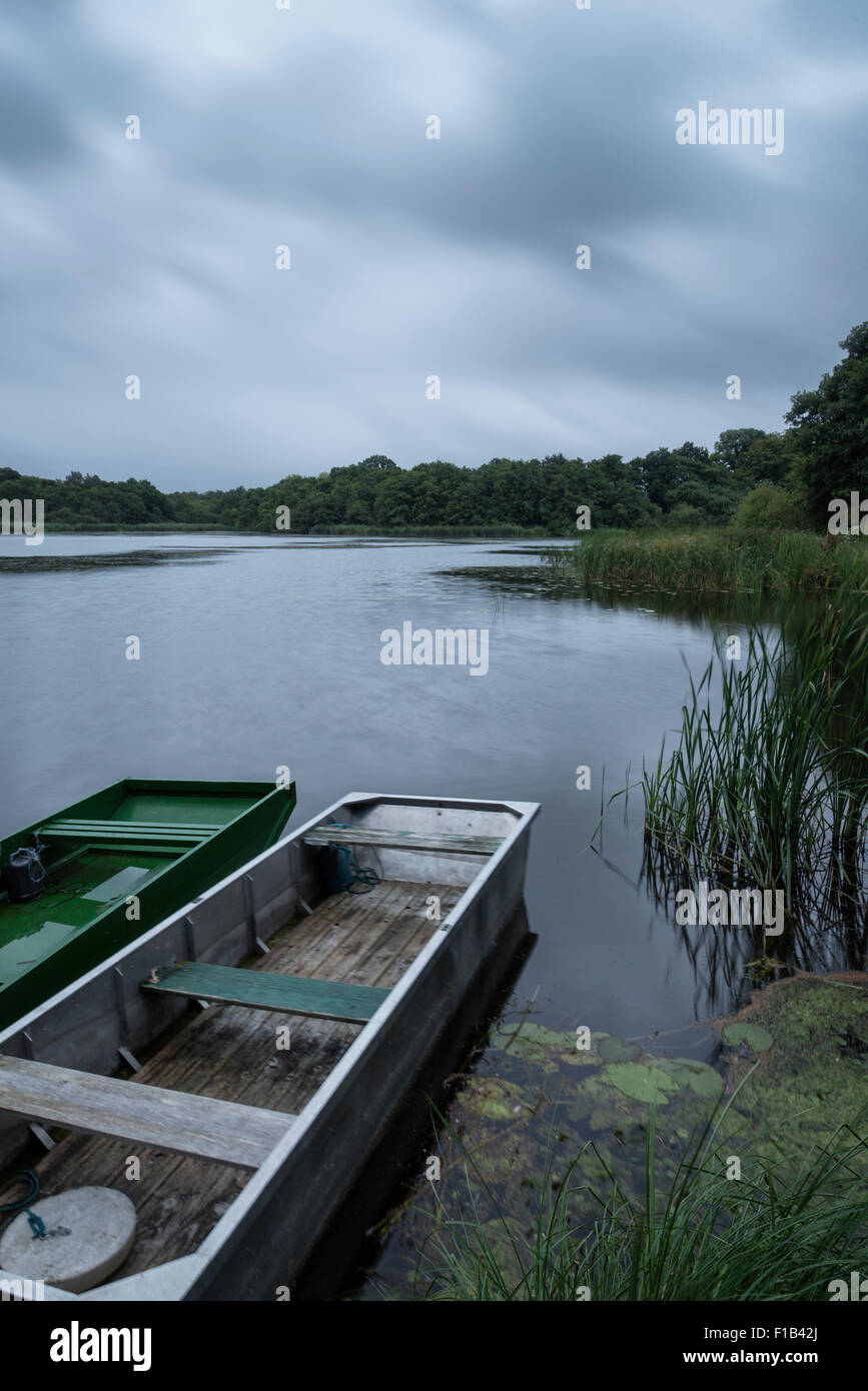 Paesaggio il lago di mattina moody Autumn Fall immagine Foto Stock