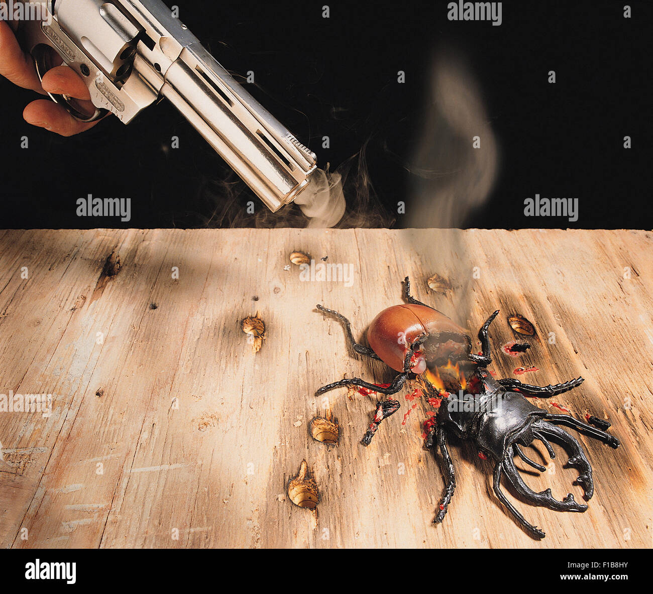 Amburgo, Germania, foto di simbolo per il debug, correzione di bug Foto Stock