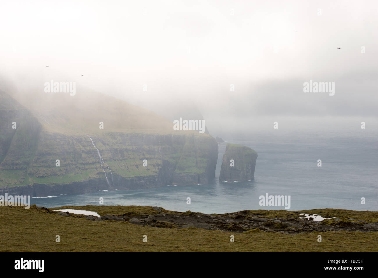 Tipico paesaggio sulle isole Faerøer, con prato verde e rocce sul bordo settentrionale di streymoy Foto Stock