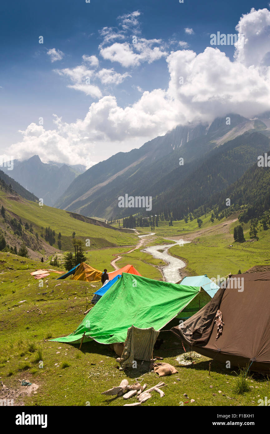 India, Jammu e Kashmir Srinagar a Leh autostrada, Sonamarg, Gujjar pastore nomade del camp nella valle alpina Foto Stock