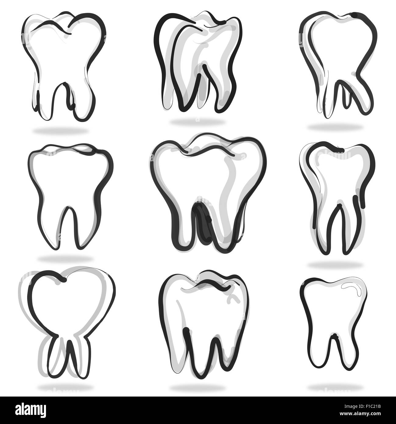 Denti umani impostare isolati su sfondo bianco Foto Stock