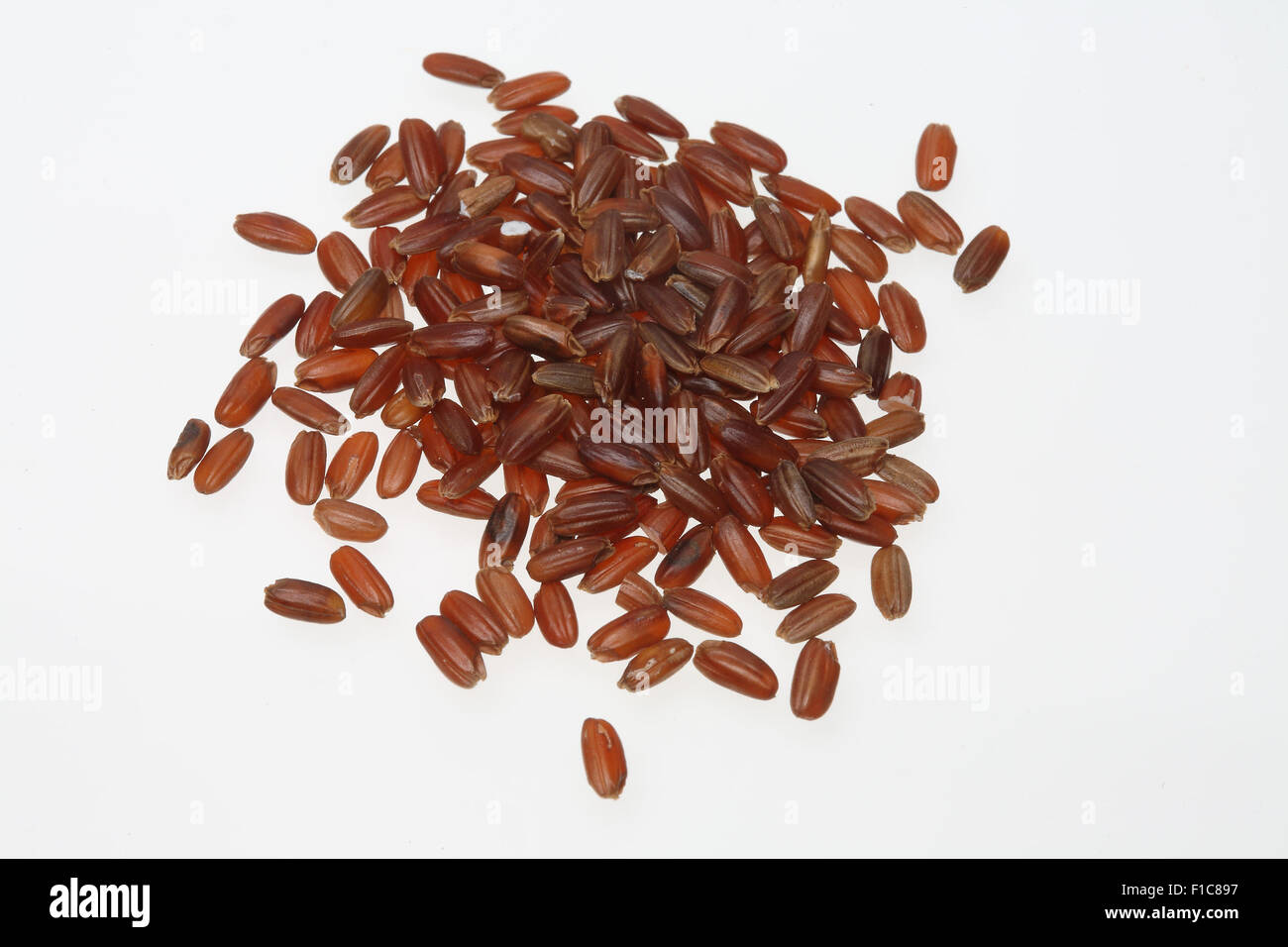 Riso rosso, un varity chiamato Camargue riso, dalla Francia Foto Stock