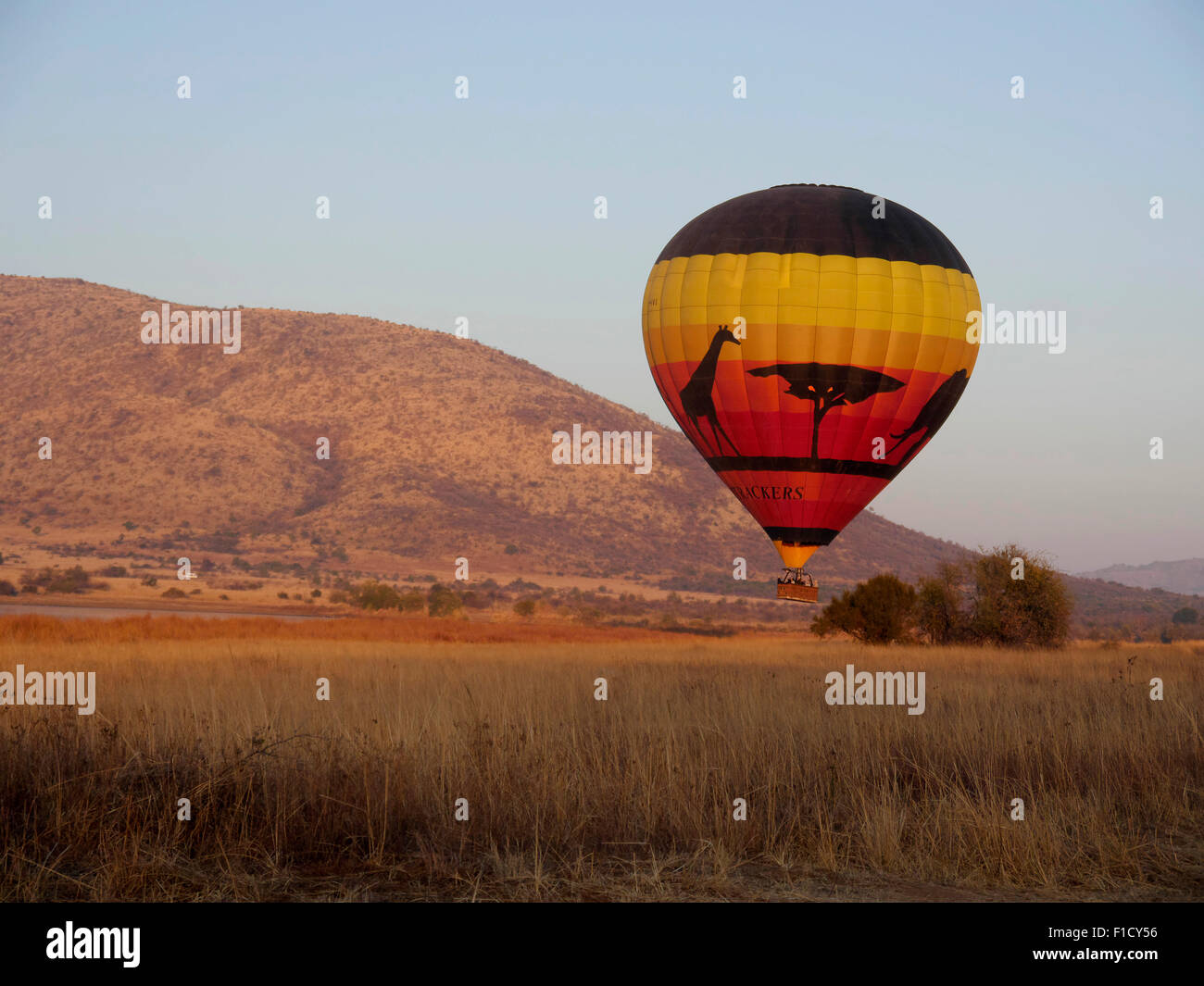 In mongolfiera ad aria calda, Parco Nazionale di Pilanesberg, Sud Africa Foto Stock