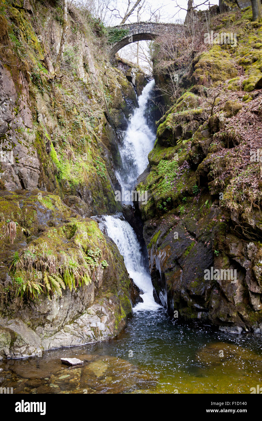 Aira Force cascata, vicino a Glenridding e Lake Ullswater, Lake District, Cumbria, Inghilterra Foto Stock