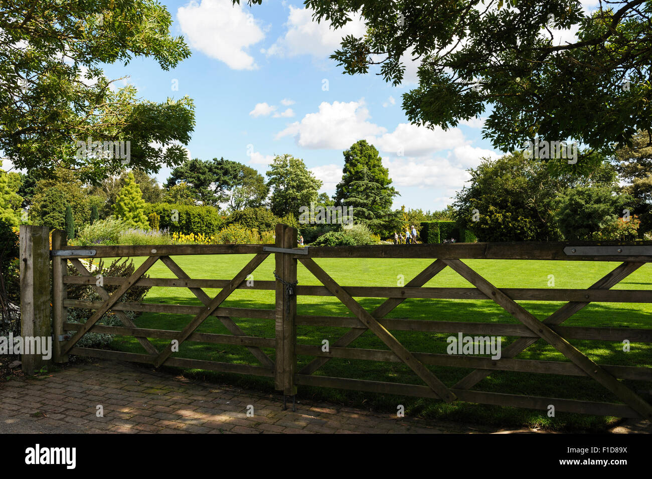 Hyde Hall, Royal Horticultural Society, Essex. Foto Stock