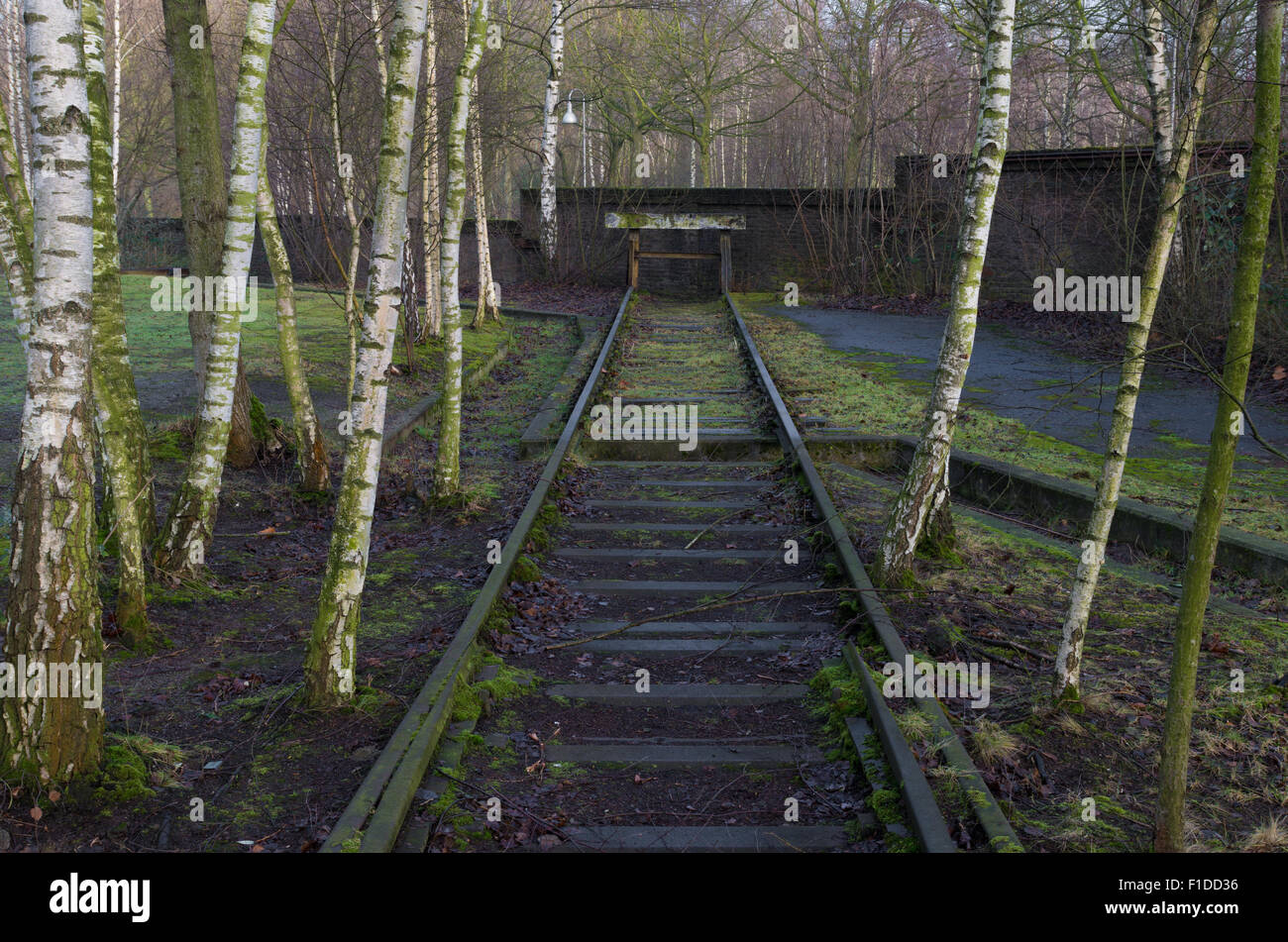 Il Landschaftspark Duisburg-Nord è un parco pubblico nella città tedesca di Duisburg. Il fulcro del parco è formata dal Foto Stock