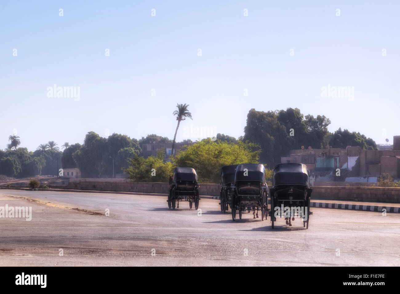 Caleshes sulla strada di Luxor, Egitto, Africa Foto Stock