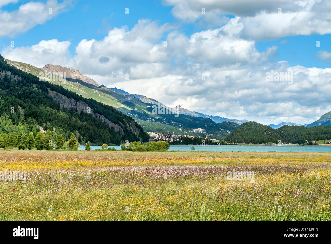 Paesaggio primaverile colorato sul lago Silvaplana, Engadina, Svizzera Foto Stock