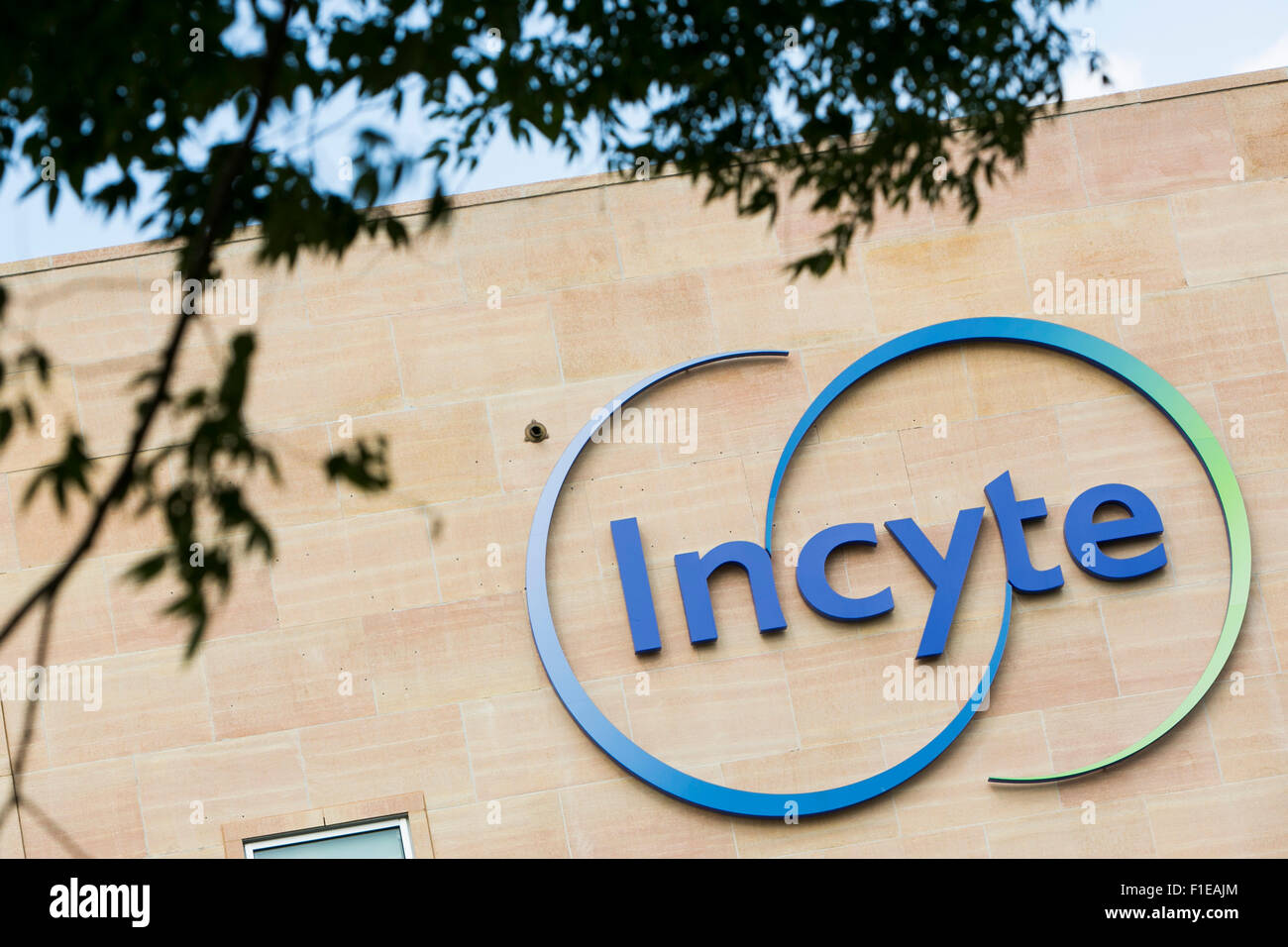 Un logo segno al di fuori della sede della Incyte Corporation in Wilmington, Delaware il 29 agosto 2015. Foto Stock