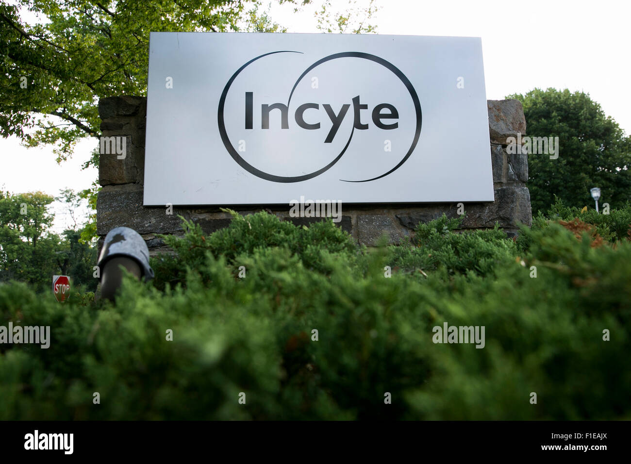 Un logo segno al di fuori della sede della Incyte Corporation in Wilmington, Delaware il 29 agosto 2015. Foto Stock