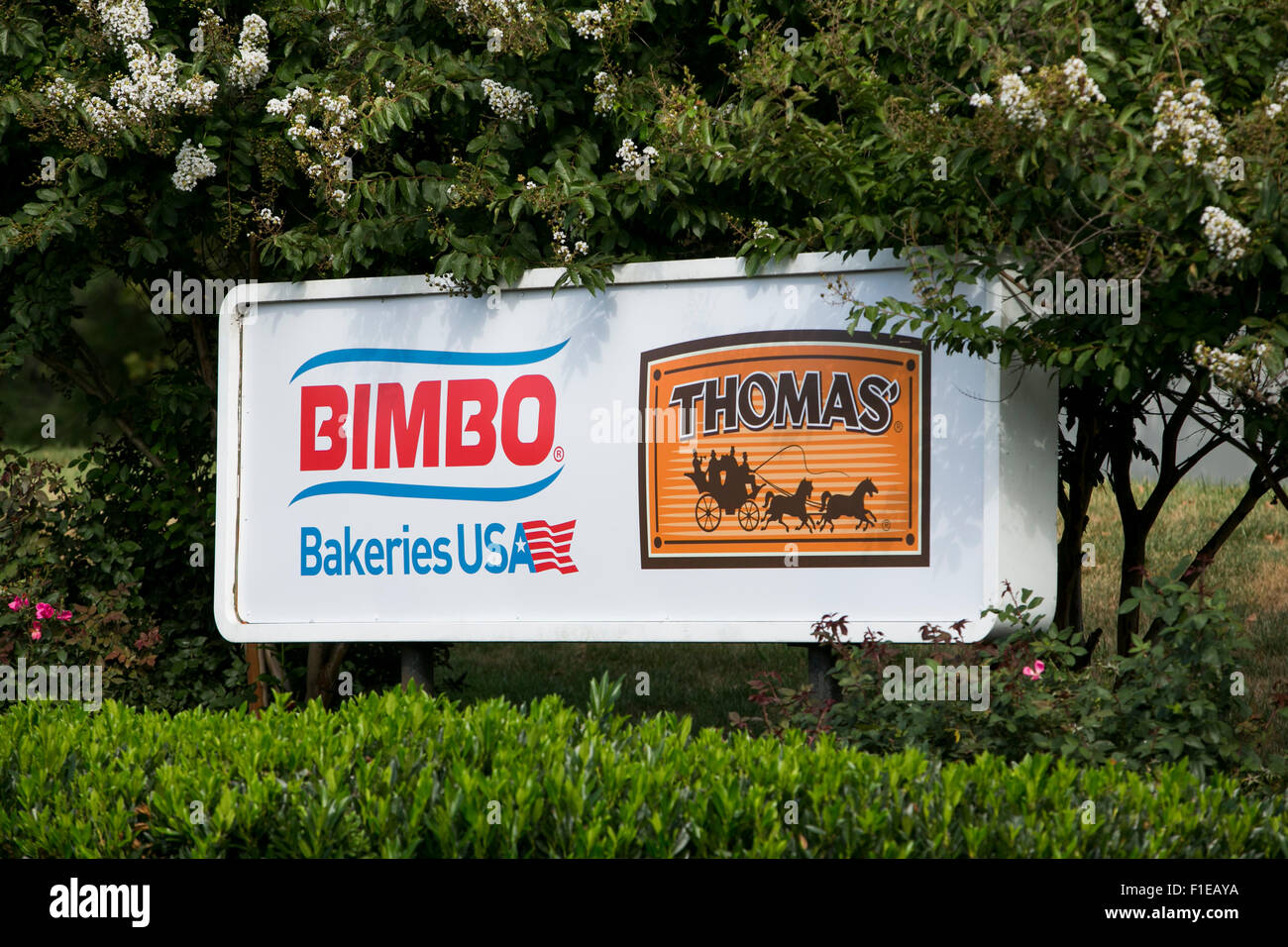 Un segno del logo al di fuori di un Thomas' muffin inglesi panificio di proprietà di Bimbo panetterie USA, in Frederick, Maryland il 30 agosto 2015. Foto Stock