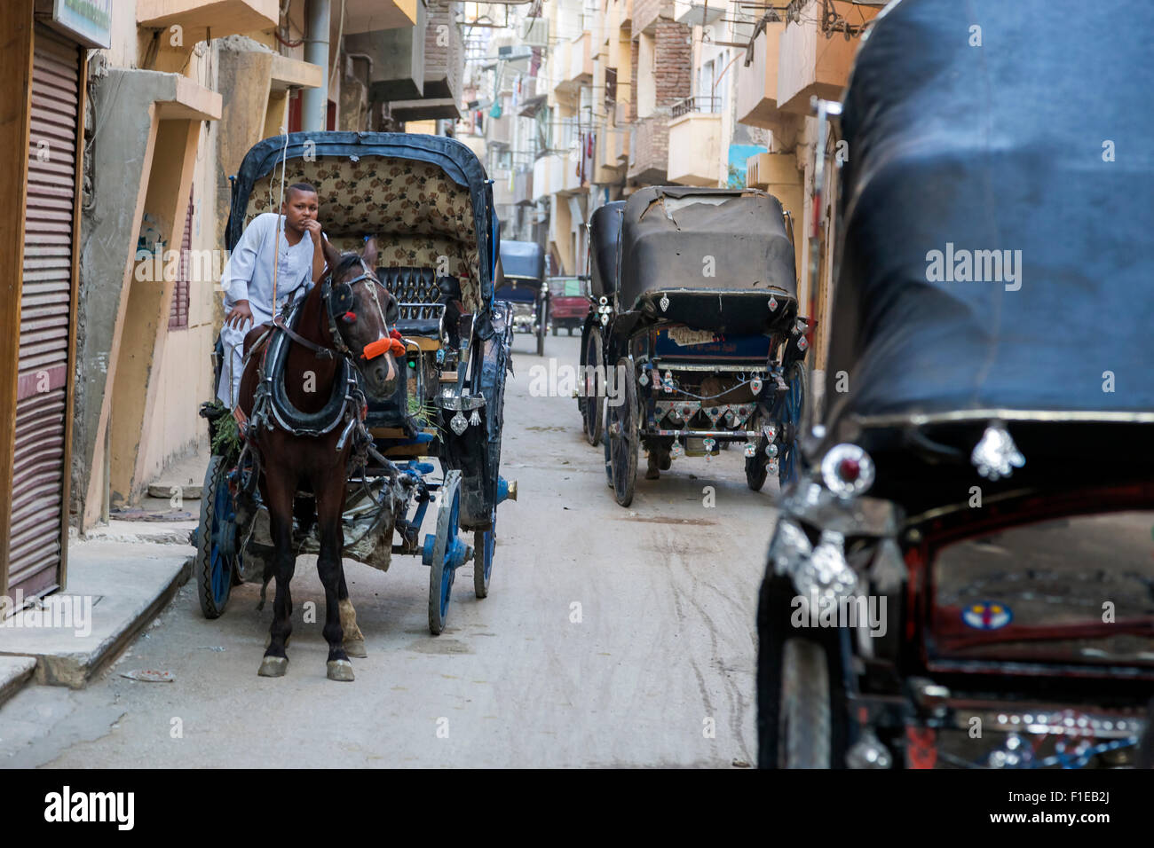 La vita di strada a Luxor, Egitto, Africa Foto Stock