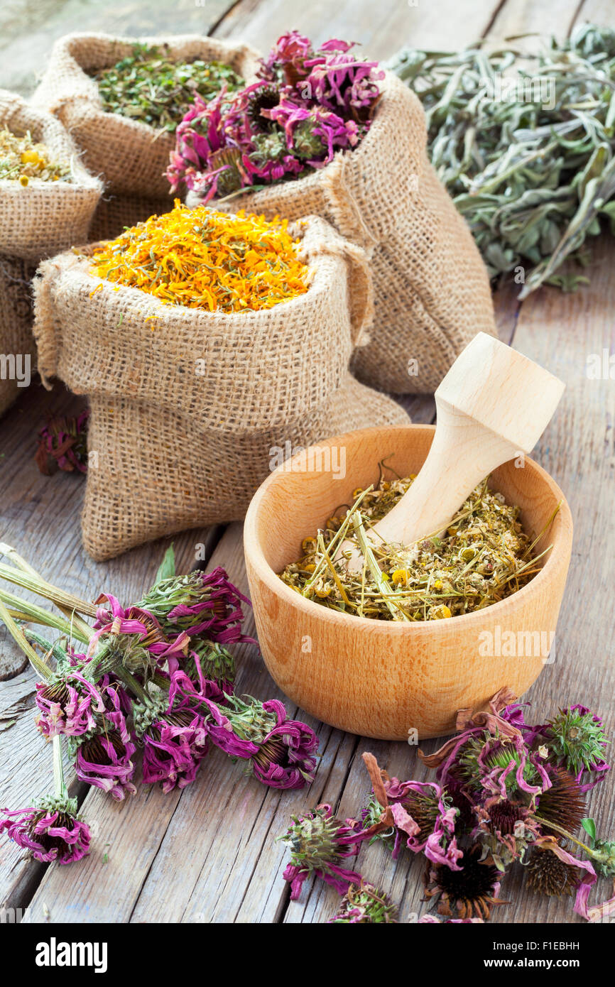 La guarigione le erbe in un mortaio di legno e in sacchetti di Hesse, la medicina di erbe. Foto Stock