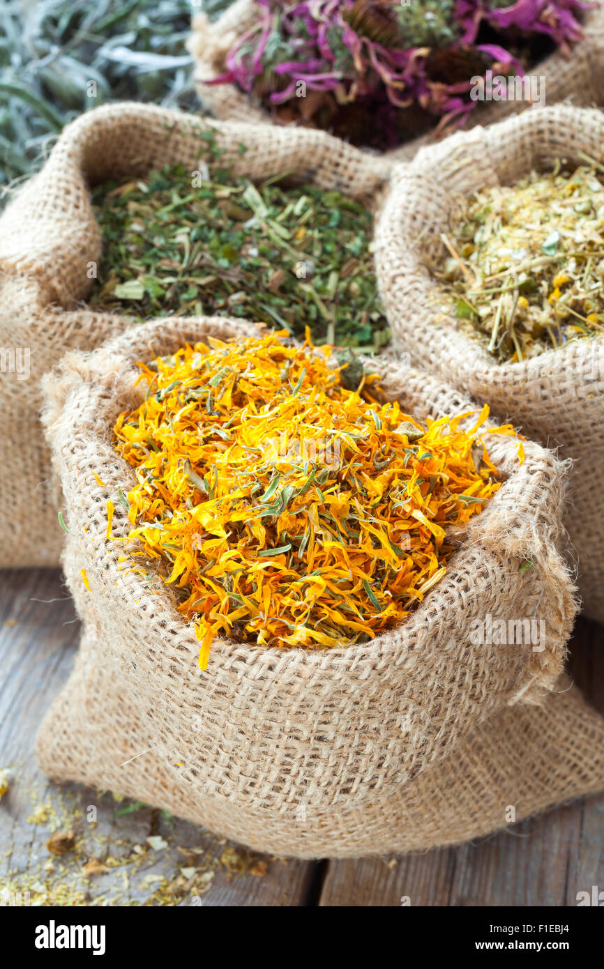 Erbe curative in sacchetti di Hesse, la medicina di erbe. Foto Stock
