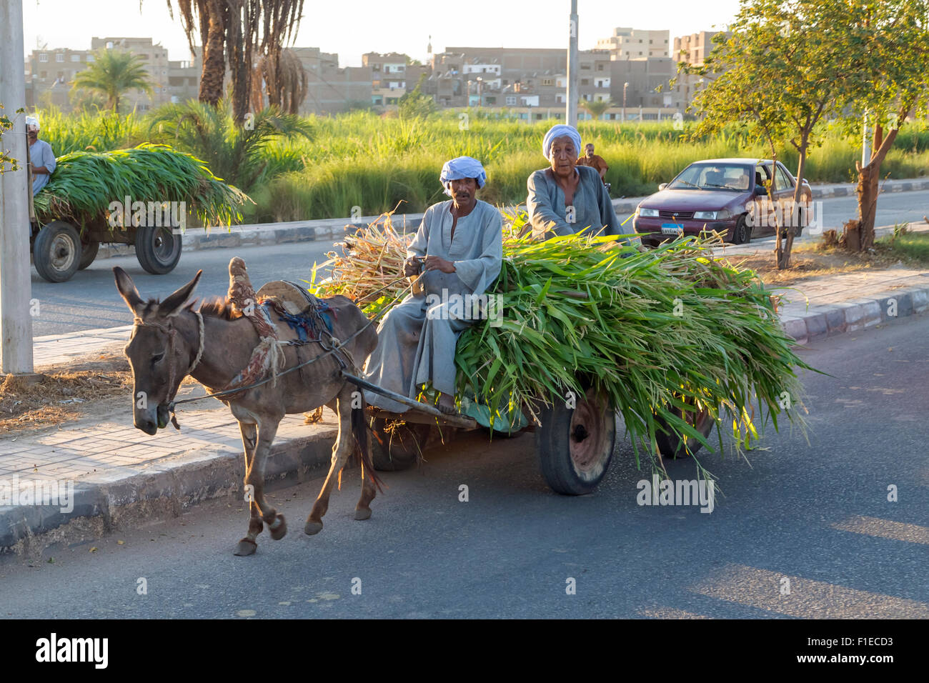 La vita di strada a Luxor, Egitto, Africa Foto Stock