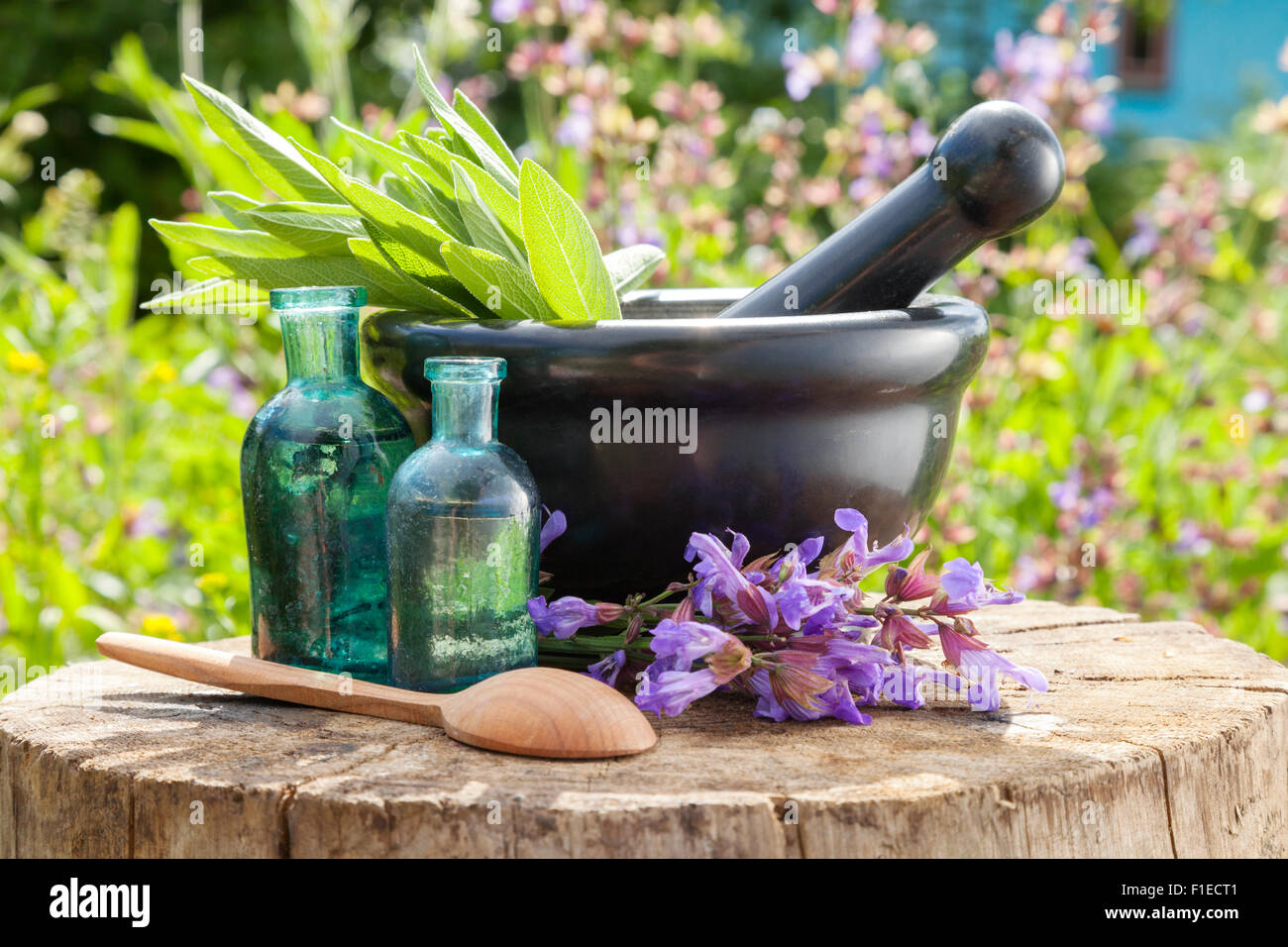Mortaio di nero con salvia erbe, bottiglie in vetro di olio essenziale all'esterno. La medicina di erbe. Foto Stock