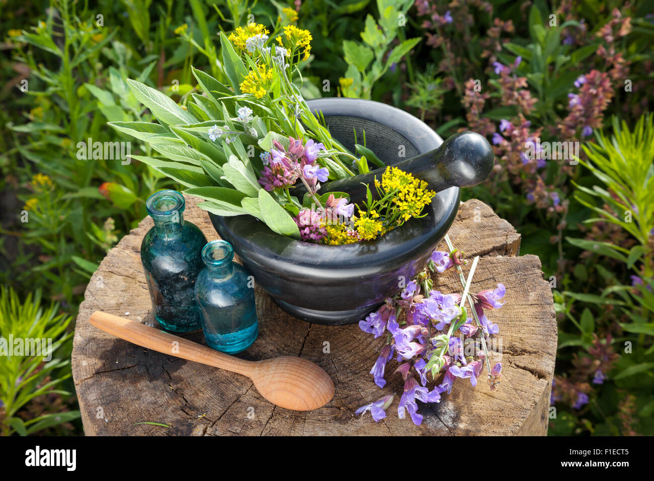 Mortaio con erbe curative e salvia, bottiglie di olio essenziale in giardino. La medicina di erbe. Foto Stock