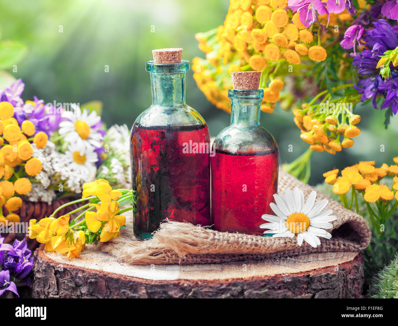 Bottiglie di tintura o prodotto cosmetico e la guarigione di erbe e fiori selvatici. La medicina di erbe. Foto Stock