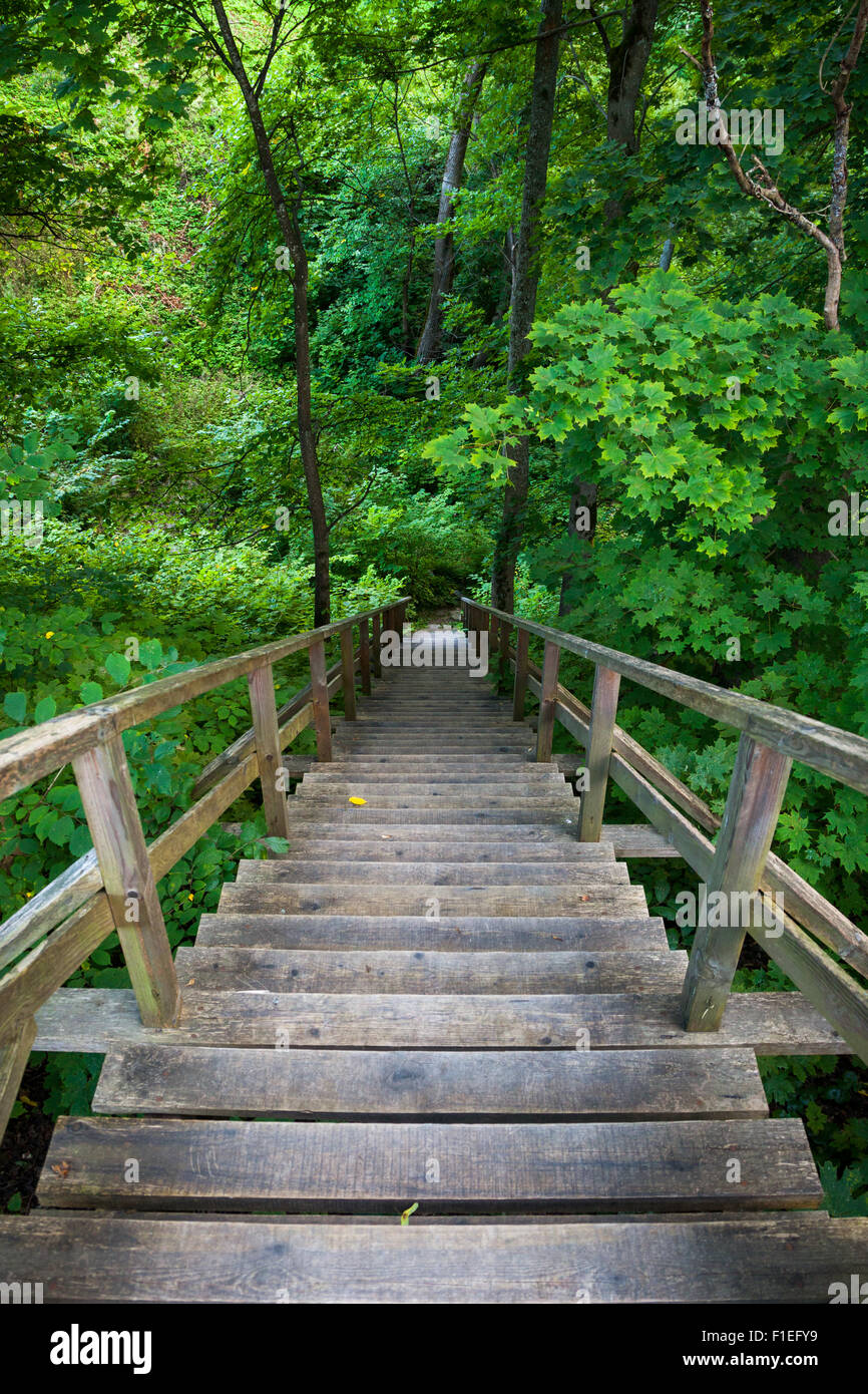 Scala in legno di foresta montagne, trail in riserva Foto Stock