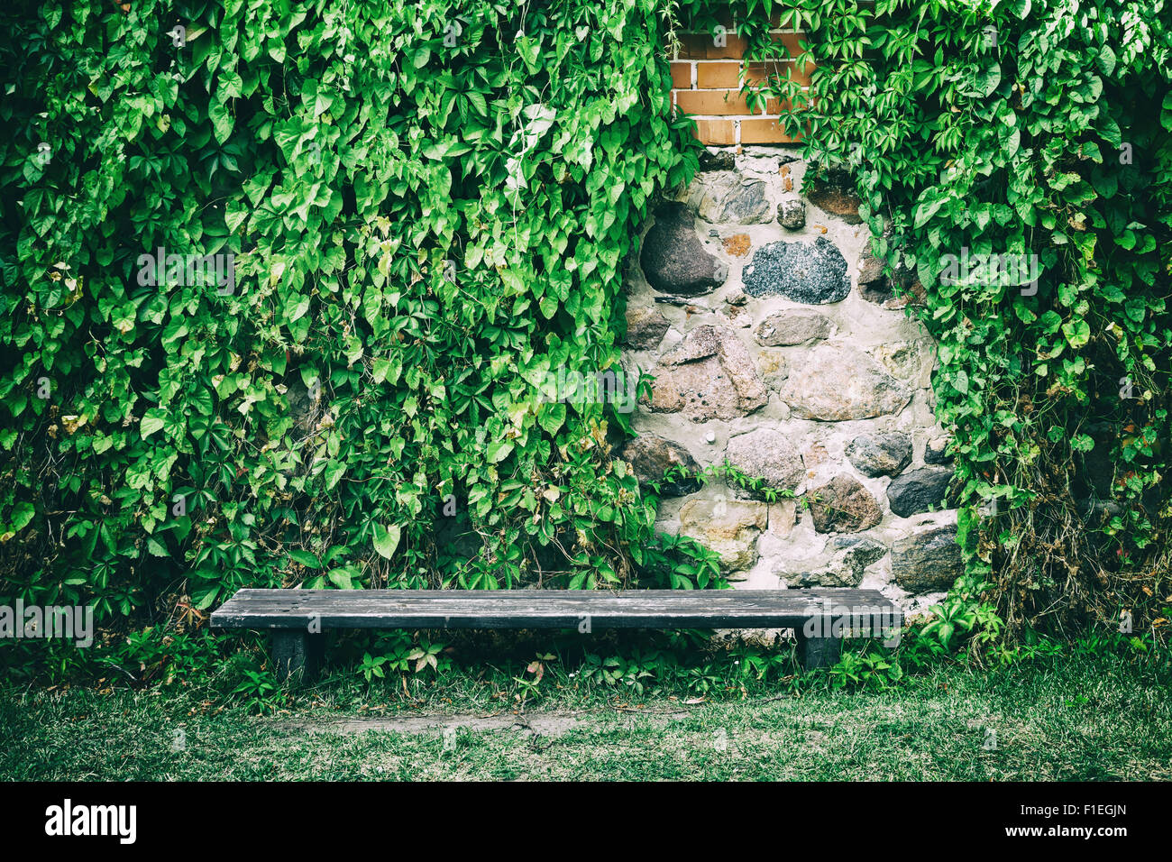 Panca in legno vicino al vecchio muro di pietra coperto con foglie d'edera Foto Stock