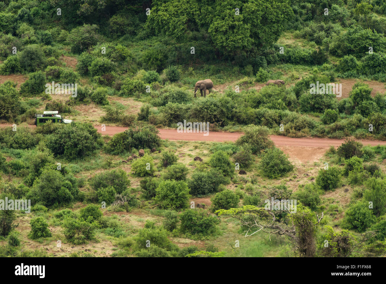 Il lago Manyara Tanzania turisti incontro elefante su safari Foto Stock