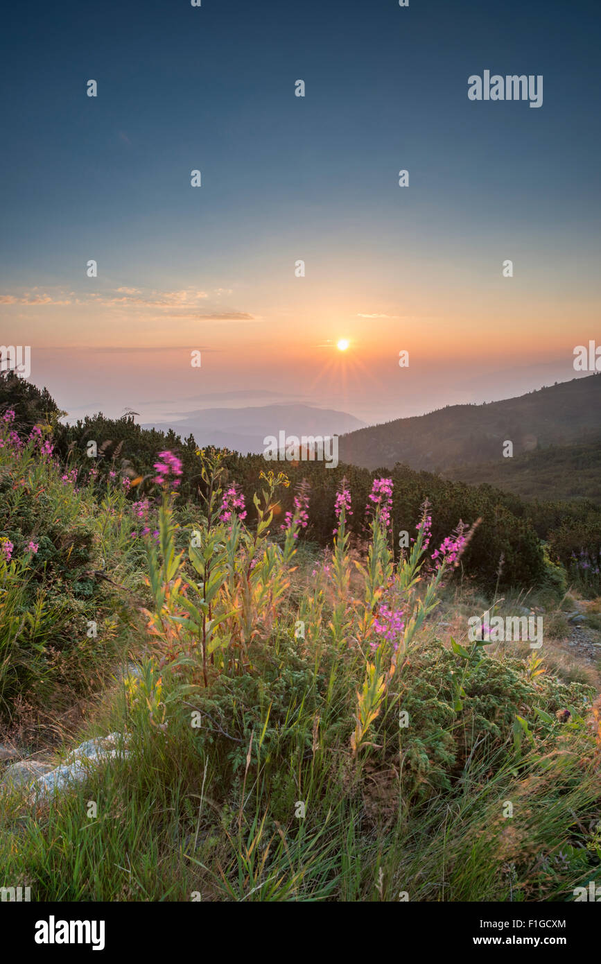 Sunrise in montagna. La Bulgaria, montagna Rila Foto Stock