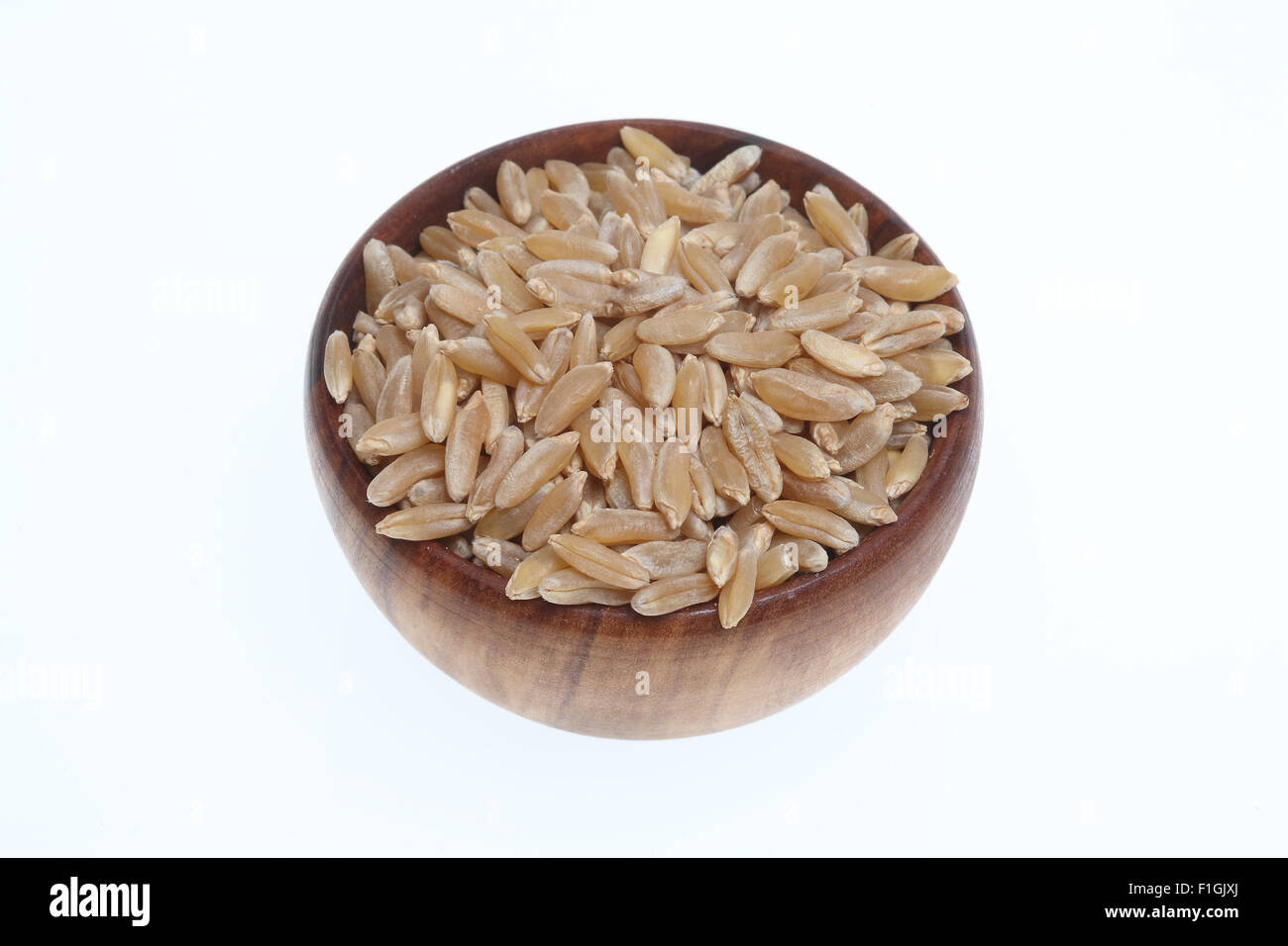 Khorasan grano kamut, una varieta' di un vecchio grano antico Foto Stock