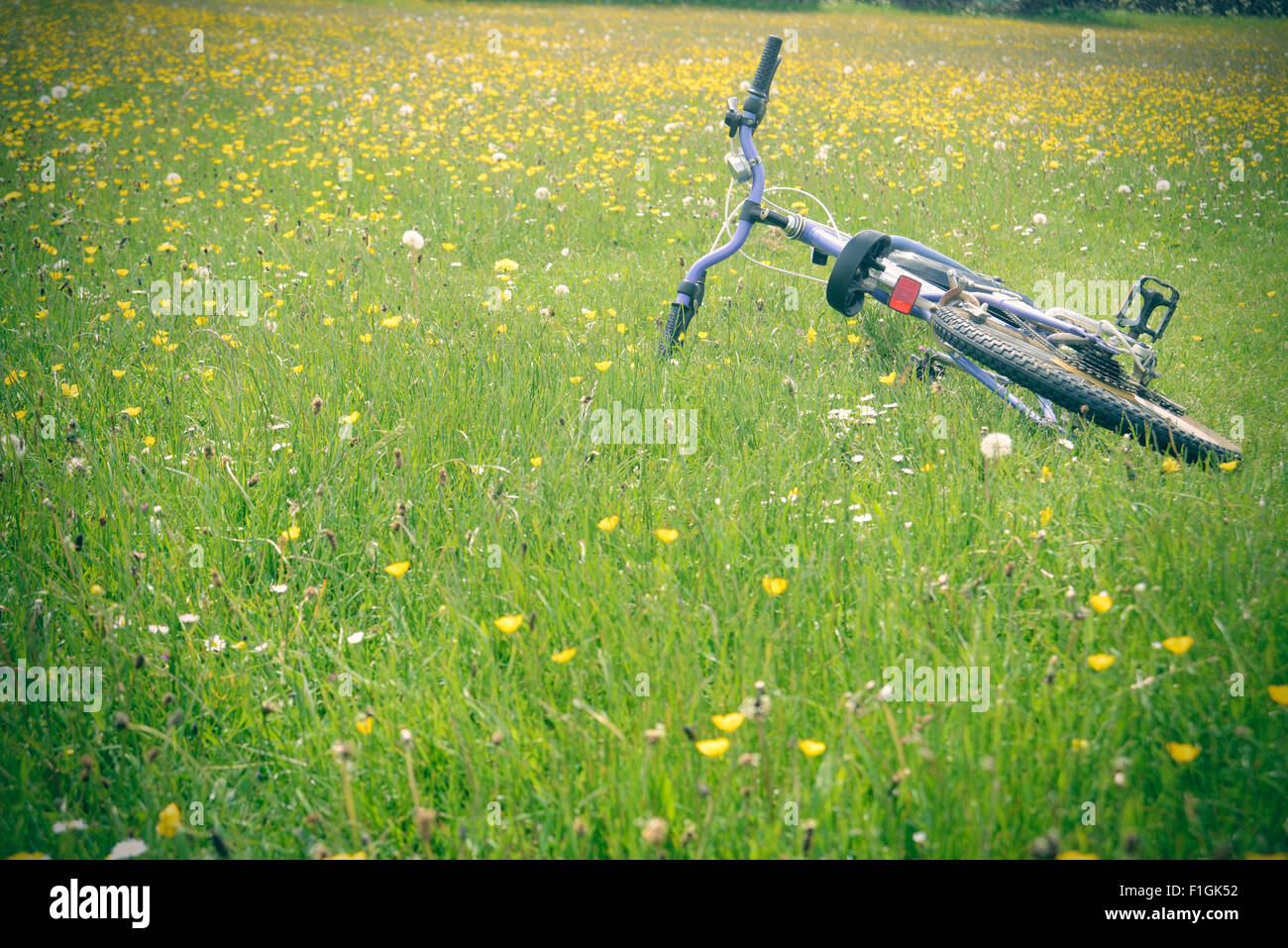 Posa di bicicletta in erba Foto Stock