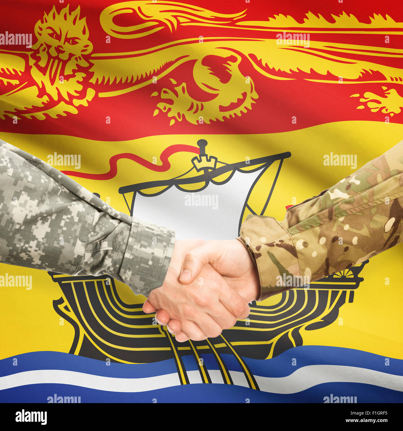 Soldati e handshake provincia canadese bandiera - New Brunswick Foto Stock