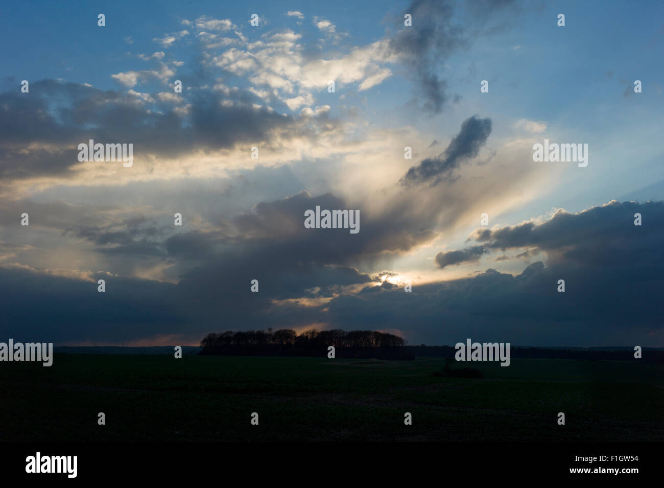 Essex England Regno Unito paesaggio, meteo anteriore. La molla 2015. Foto Stock