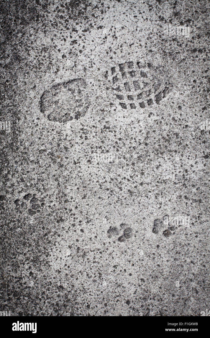 Uomo Stivali e cane impronte sulla pista di calcestruzzo Foto Stock