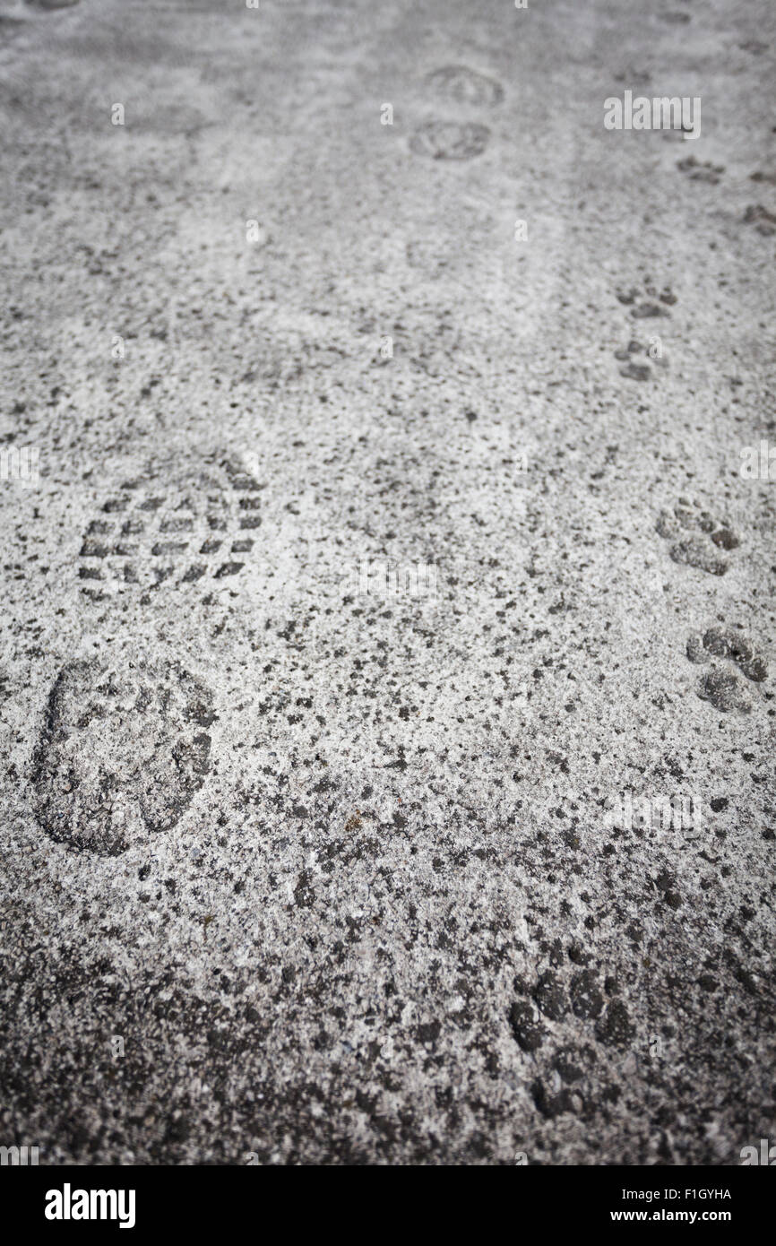 Uomo Stivali e cane impronte sulla pista di calcestruzzo Foto Stock