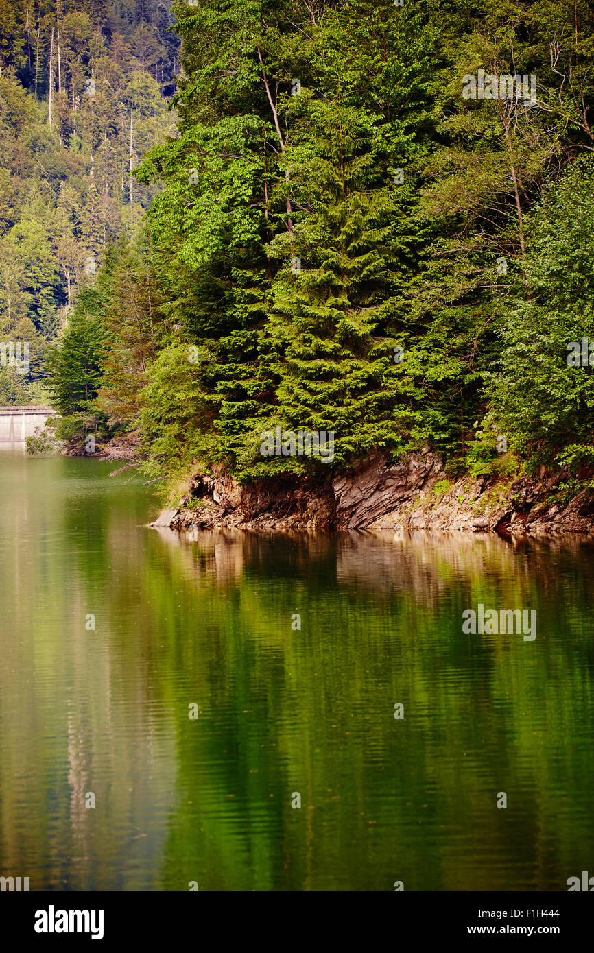 Il lago e la foresta di conifere in montagna, con la riflessione Foto Stock