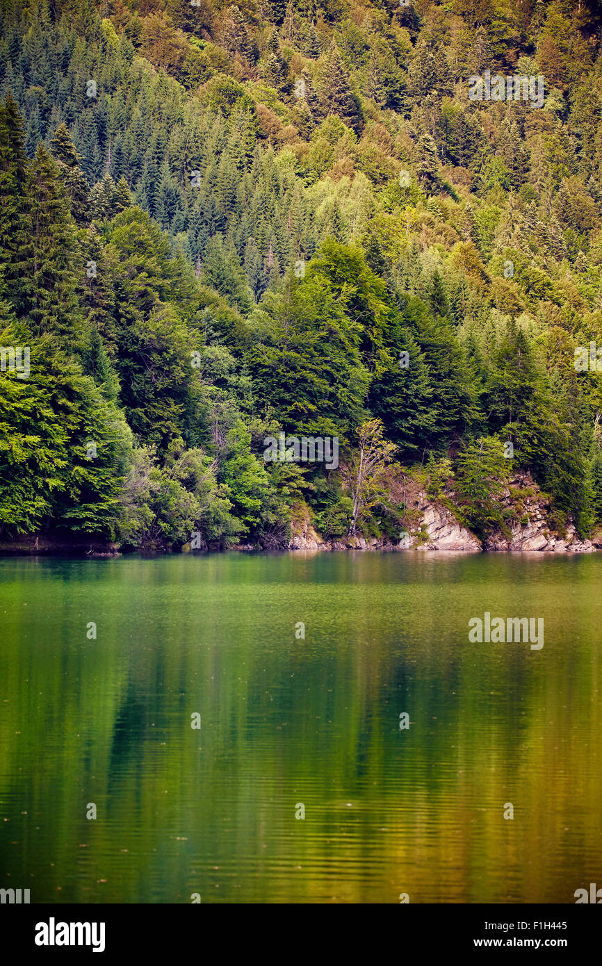 Il lago e la foresta di conifere in montagna, con la riflessione Foto Stock