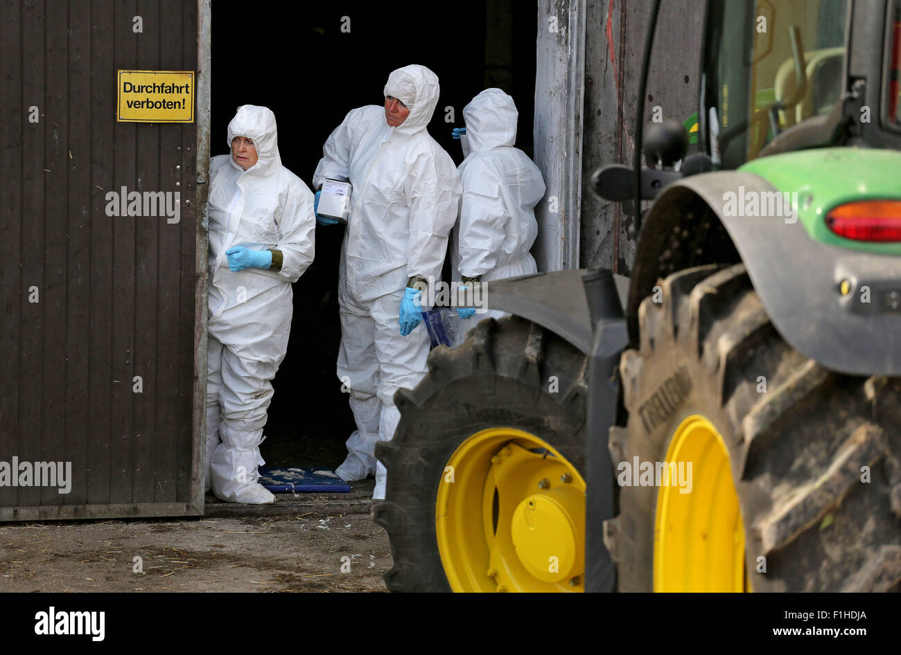 Dresden, Germania. 2 Sep, 2015. I veterinari possono essere visto durante un esercizio in materia di lotta contro la peste suina africana in un piggery a Dresda, in Germania, 2 settembre 2015. L'Ufficio veterinario di Dresda praticata insieme con i vigili del fuoco di trattare con la peste suina africana. Originariamente dall Africa non esistono vaccini contro la malattia virale. Gli allevamenti di suini entro tre chilometri delle aziende agricole colpite devono essere macellati. Per data, i casi si sono verificati in Russia, nei paesi baltici e in Polonia orientale. Fotografia: JAN WOITAS/dpa/Alamy Live News Foto Stock