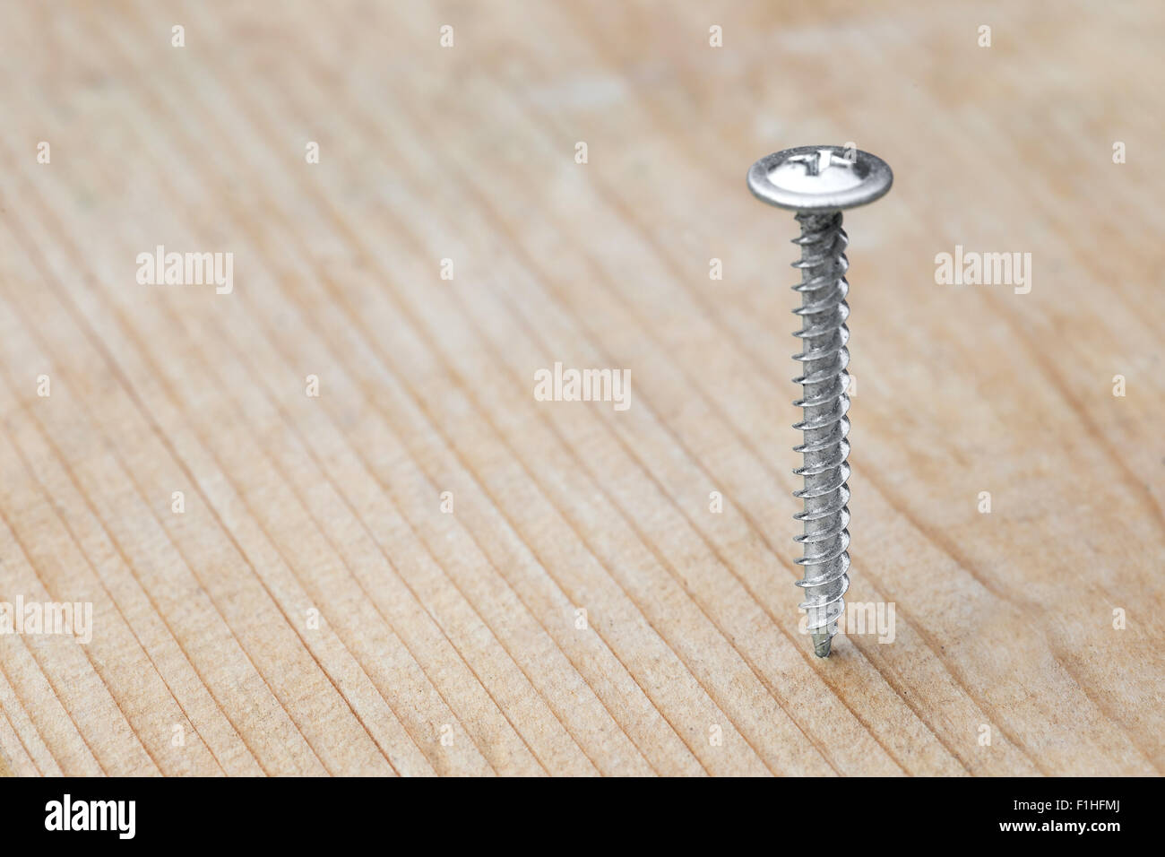 Vite avvitata nel tavolato in legno, primo piano Foto Stock