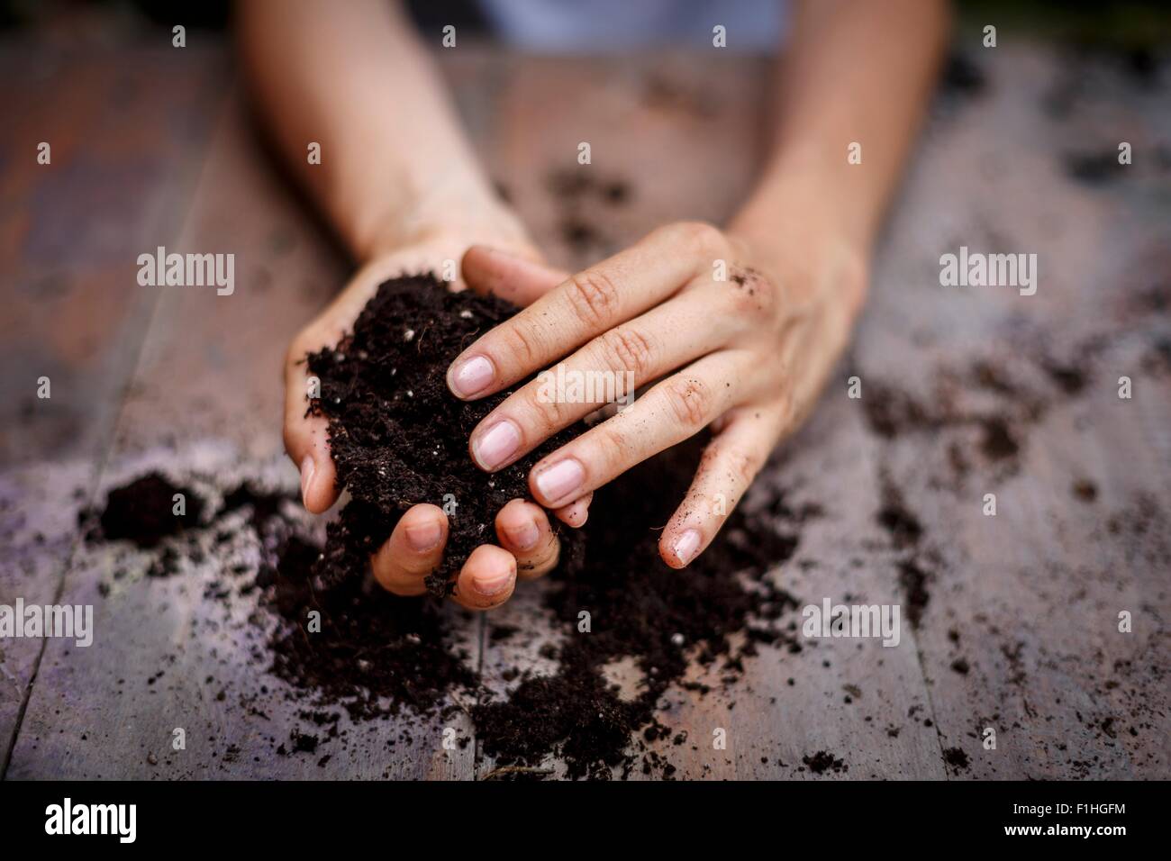 Vista ritagliata della mani tenendo il suolo Foto Stock