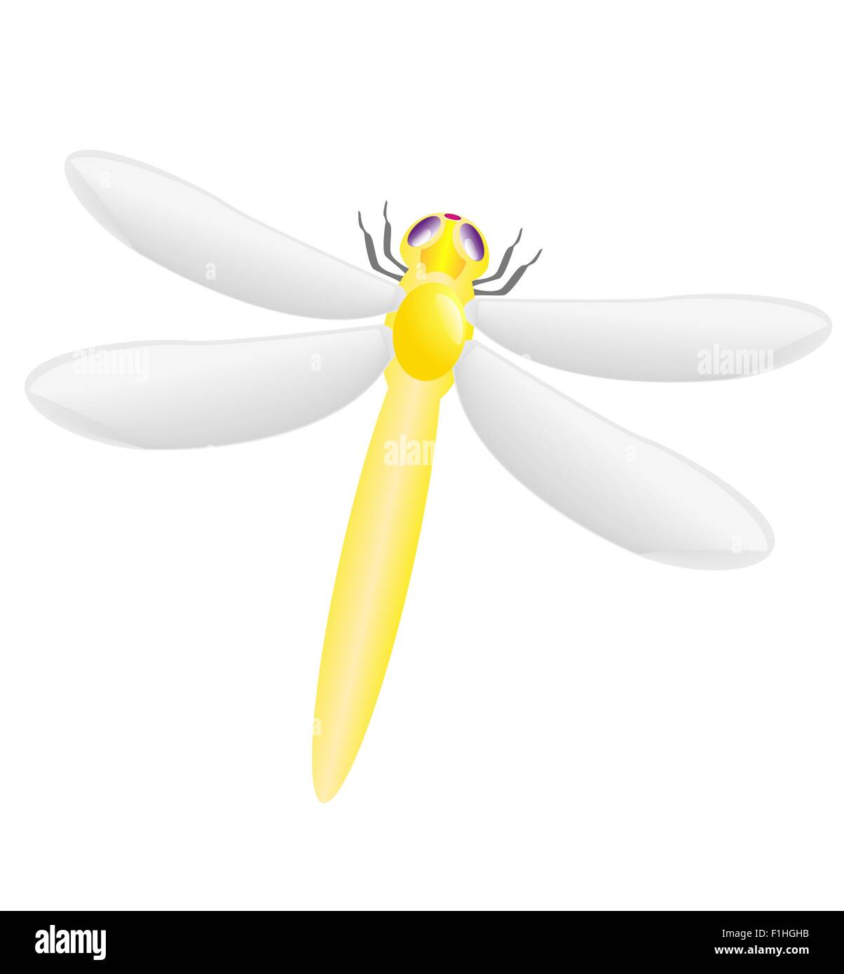 Dragonfly isolati su sfondo bianco illustrazione vettoriale Illustrazione Vettoriale