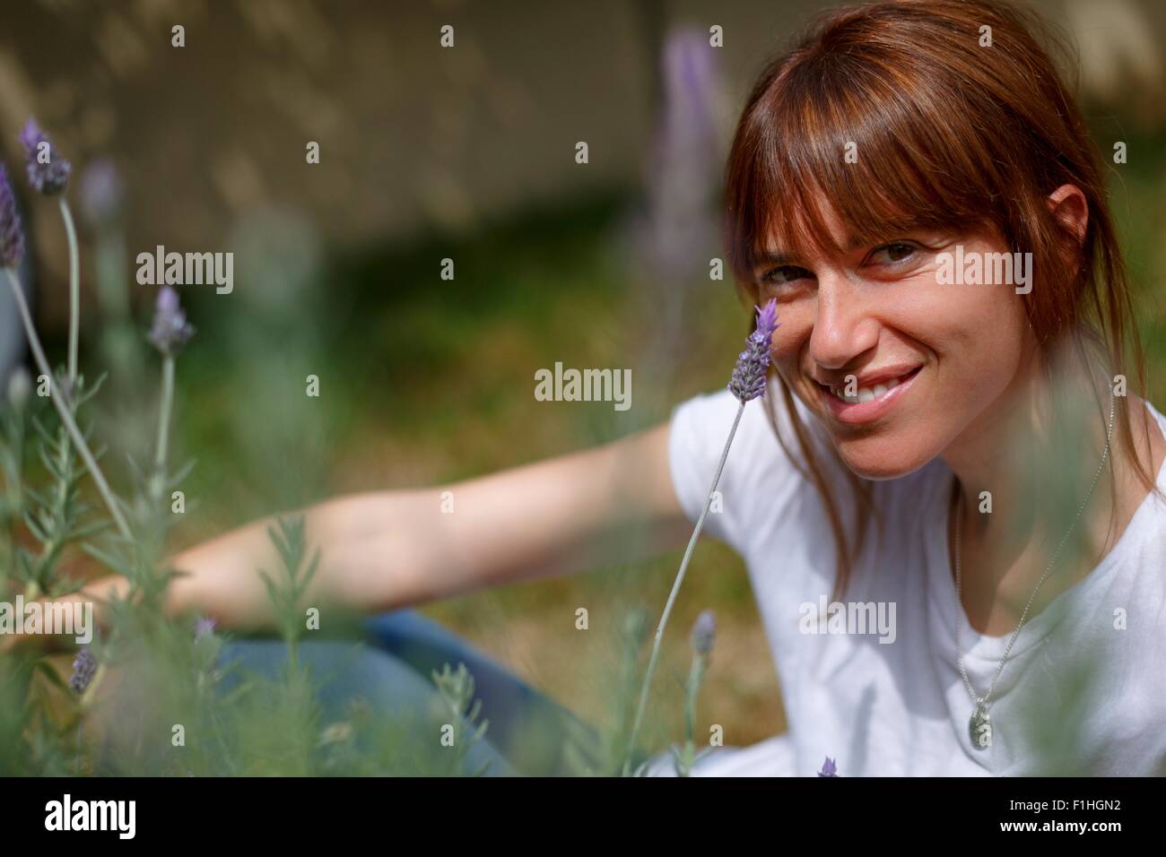 Metà donna adulta seduta tra la lavanda, guardando la telecamera, sorridente Foto Stock