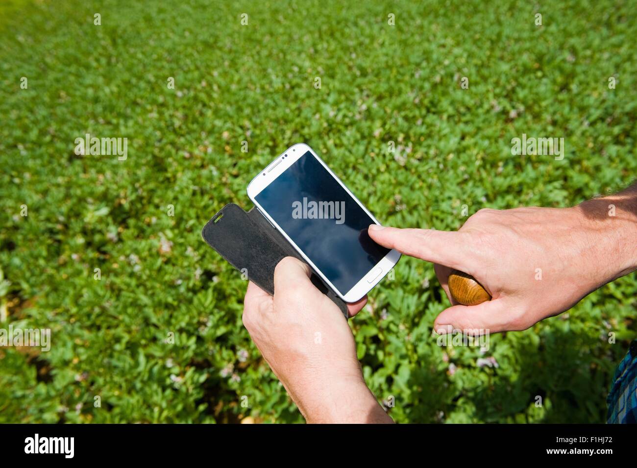 Gli agricoltori maschio mano utilizzando il touchscreen dello smartphone in campo verde Foto Stock