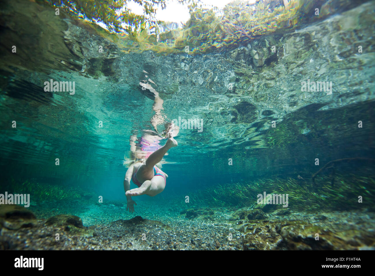 Foto subacquee a seguito di un nuotatore femmina attraverso Rock Springs eseguire in Kelly Park nella Florida Centrale Foto Stock