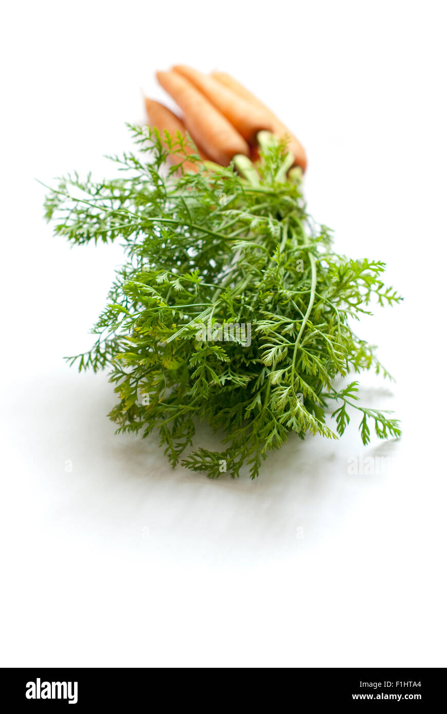 Still Life food immagine di carote organico con cime di verde - Ortaggi o legumi Foto Stock