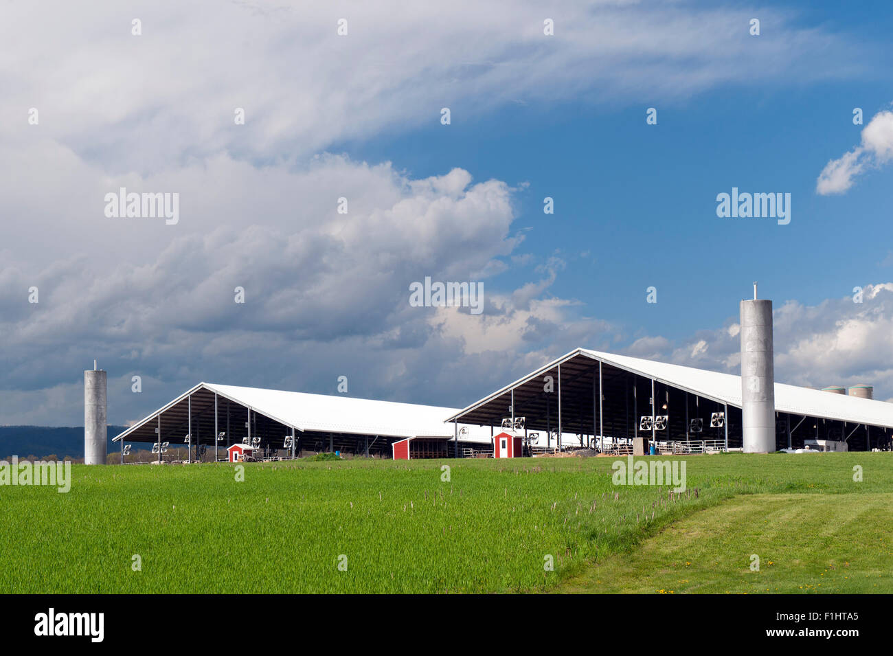 Moderno caseificio di Shenandoah Valley. Virginia, Stati Uniti d'America. Foto Stock
