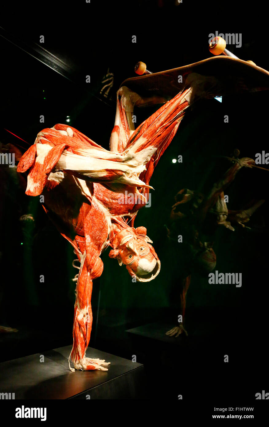 Impressionen - Eroeffnung des 'Menschen musei' mit Plastinaten von menschlichen Koerpern, Alexanderplatz, 17. Februar 2015, essere Foto Stock
