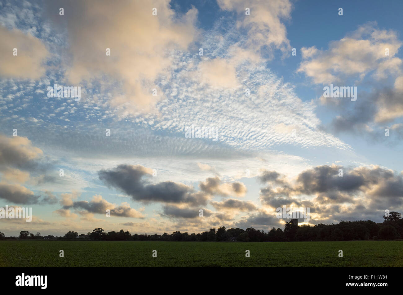Cirrus e Cumulus nuvole al tramonto Foto Stock