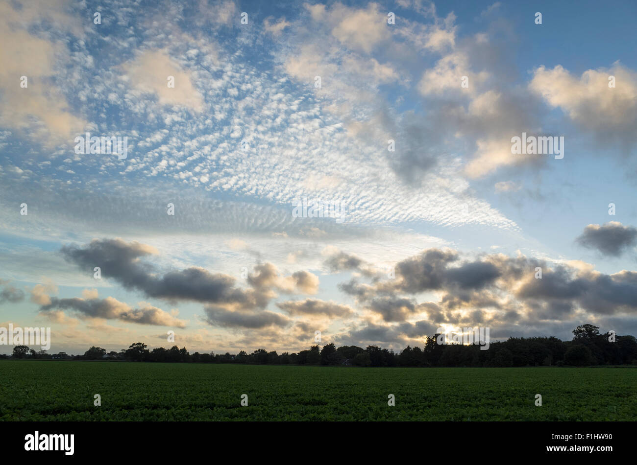 Cirrus e Cumulus nuvole al tramonto Foto Stock