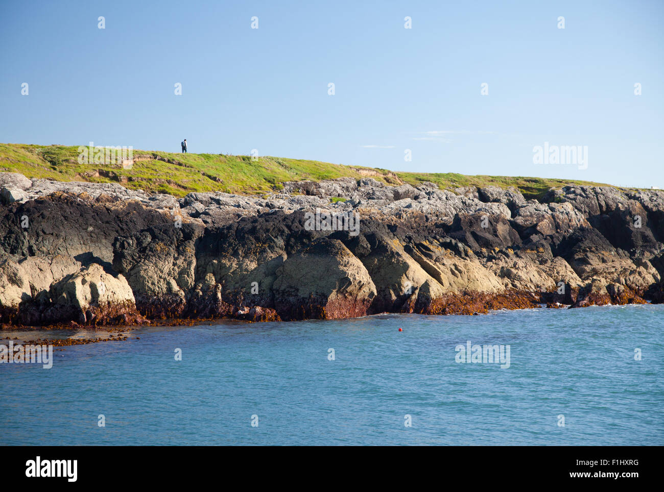 Un viandante con il Galles sentiero costiero a Porth Ysgaden, Tudweiliog, Llyn Peninsula, il Galles del Nord su un luminoso giorno di estate Foto Stock