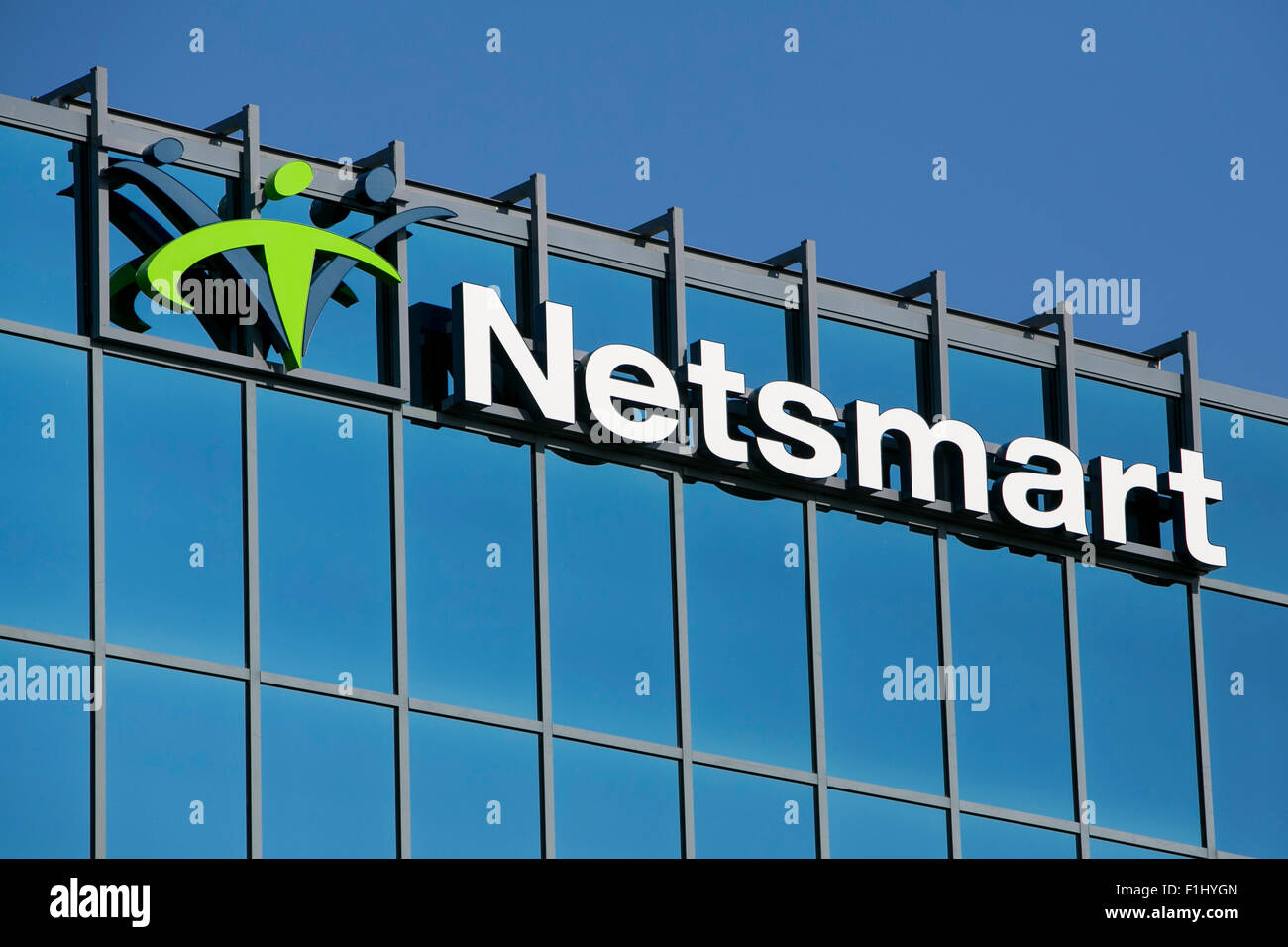 Un logo segno al di fuori della sede di Netsmart tecnologie di Overland Park, Kansas il 23 agosto 2015. Foto Stock