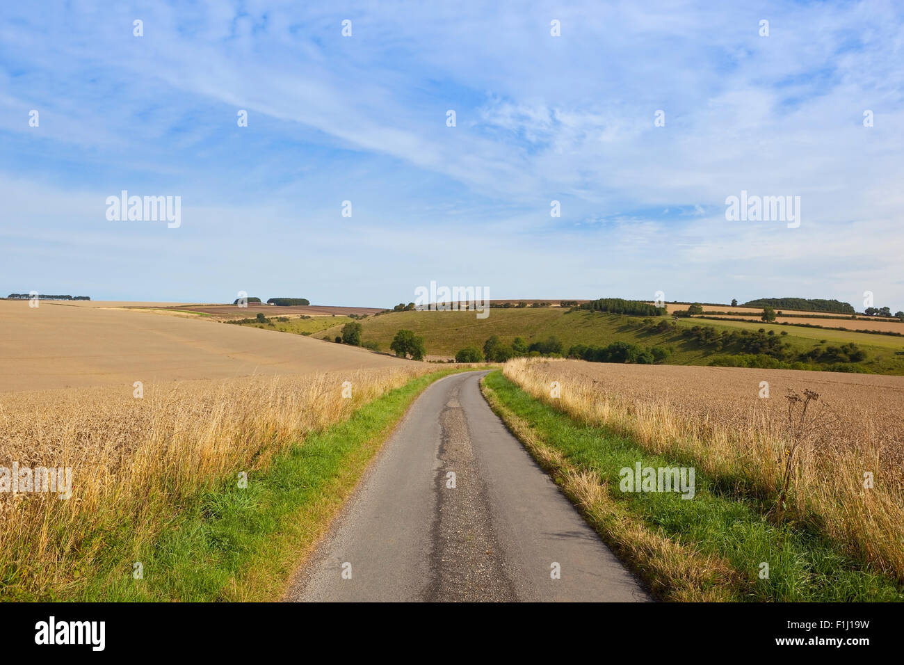 Una piccola strada di campagna attraverso Burdale in patchwork paesaggio del Yorkshire wolds in agosto. Foto Stock