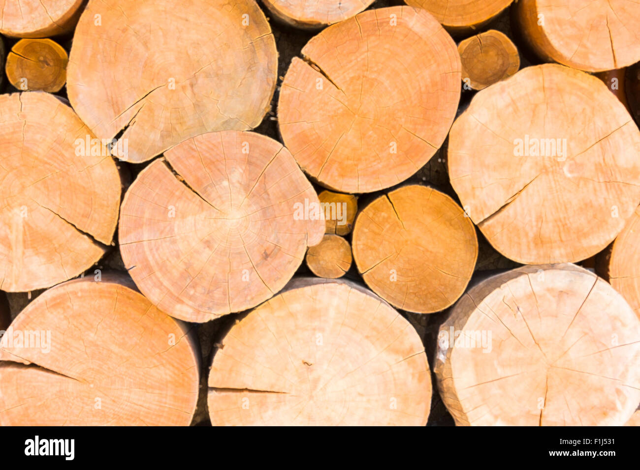 Molti grandi e spesso incrinato travi ad albero in una pila Foto Stock